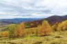 Віртуальна 3Д екскурсія Золота Осінь Карпати
