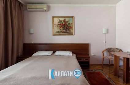 Сонячна Поляна. санаторій у Сонячне Закарпаття