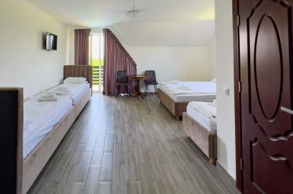 Spa Hotel Alpin